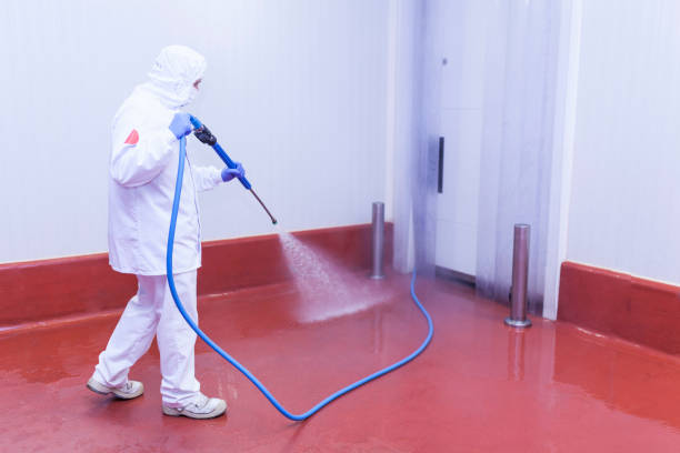 Best House Exterior Washing  in Marshall, MN