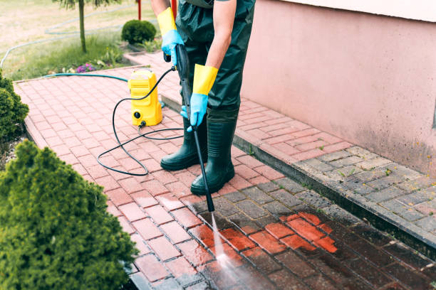 Best Roof Washing  in Marshall, MN